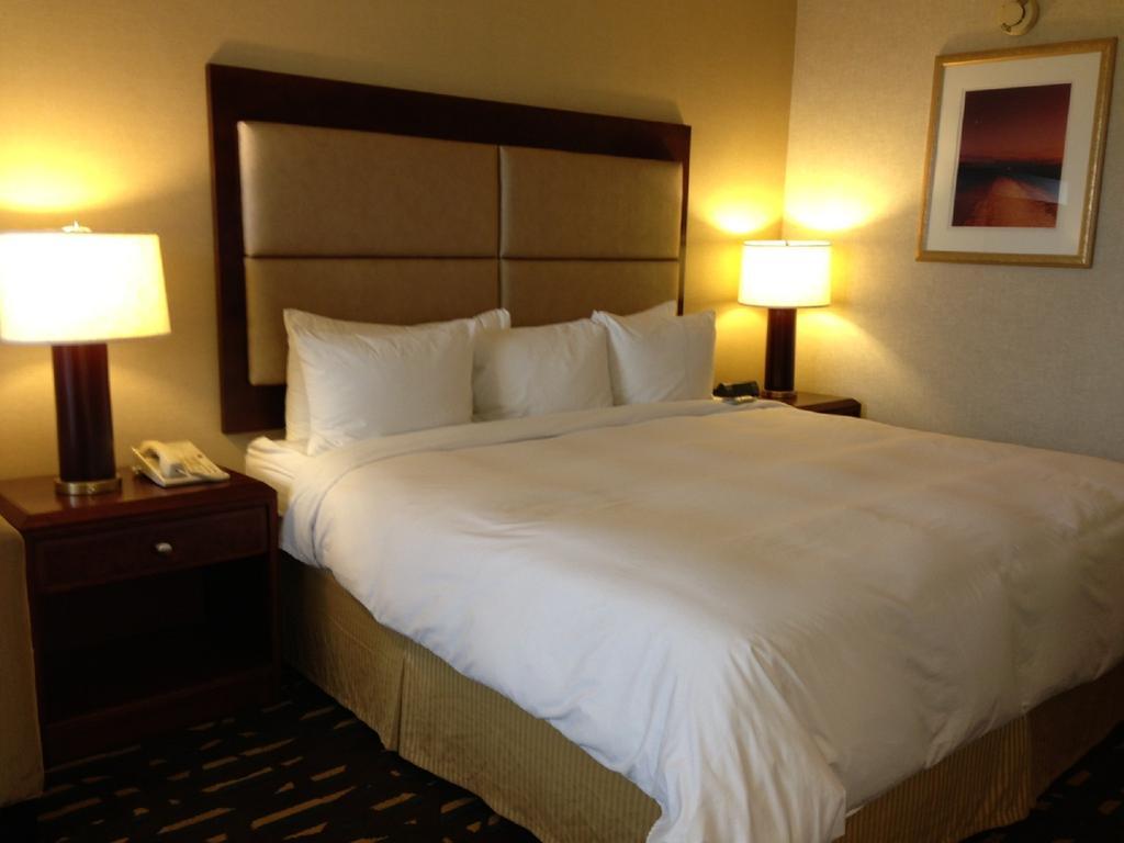 Wyndham Chicago O'Hare Ξενοδοχείο Rosemont Εξωτερικό φωτογραφία