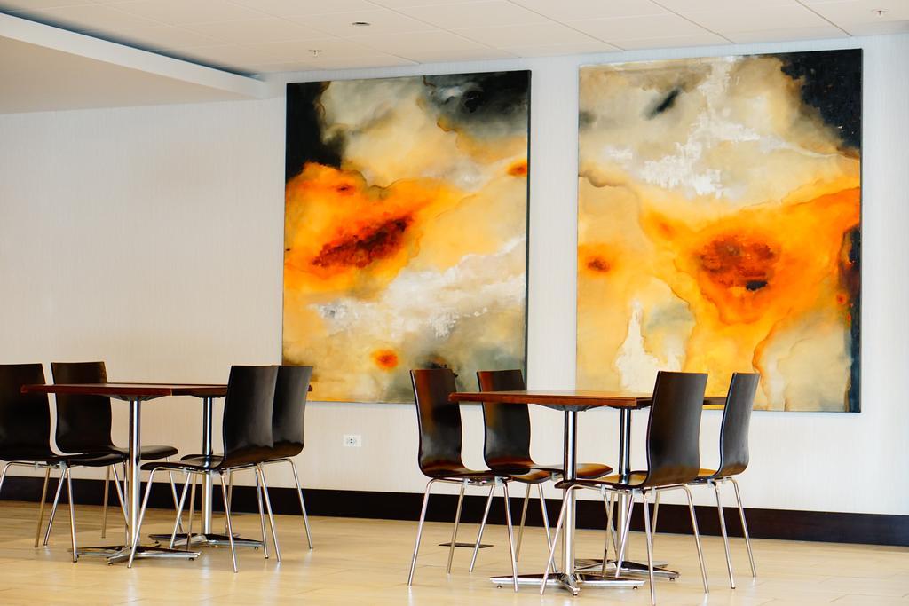 Wyndham Chicago O'Hare Ξενοδοχείο Rosemont Εξωτερικό φωτογραφία