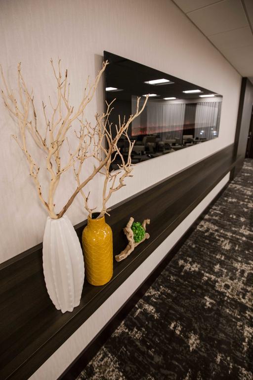 Wyndham Chicago O'Hare Ξενοδοχείο Rosemont Εξωτερικό φωτογραφία